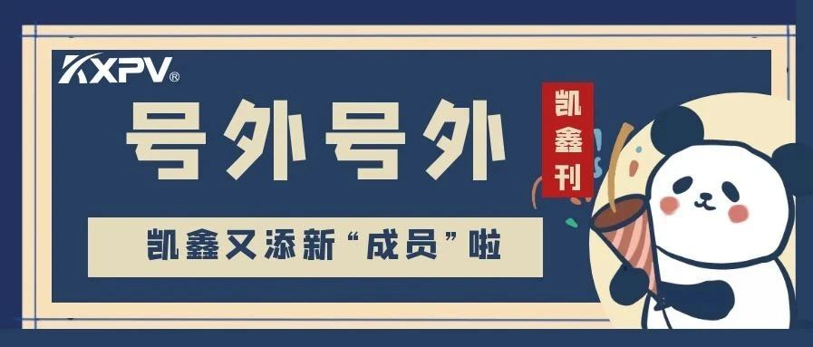 【凱鑫刊-第三期】凱鑫步入發(fā)展新征程，開(kāi)啟發(fā)展新篇章